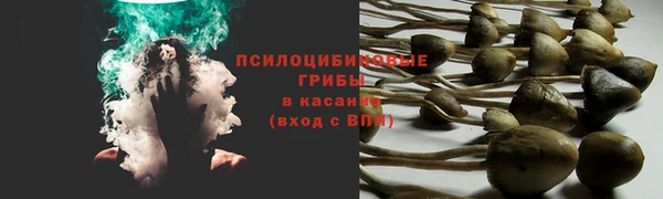 мяу мяу мука Баксан