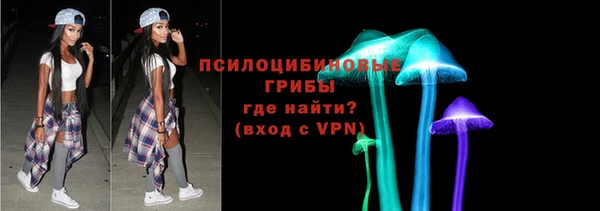 мяу мяу мука Баксан