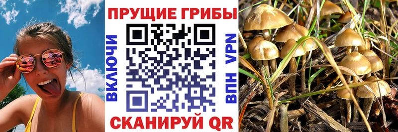 Псилоцибиновые грибы мицелий  Николаевск 